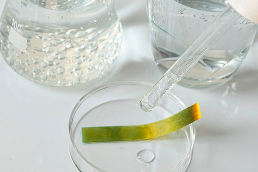Everything you need to know about skin pH