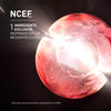 NCEF-SHOT